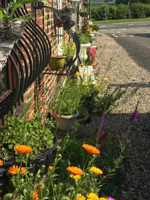 Kirklevington Oyo Yarm Cottages المظهر الخارجي الصورة