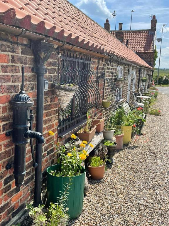 Kirklevington Oyo Yarm Cottages المظهر الخارجي الصورة